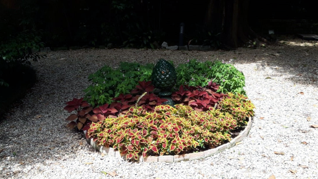 Progettazione giardini Milano e Roma. Aiuola con piante colorate. Paesaggista Danilo Bitetti. Ornus
